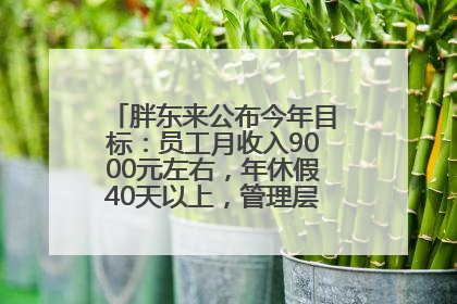 胖东来公布今年目标：员工月收入9000元左右，年休假40天以上，管理层人均分配70万元