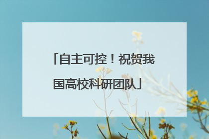 自主可控！祝贺我国高校科研团队