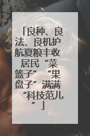 良种、良法、良机护航夏粮丰收 居民“菜篮子”“果盘子”满满“科技范儿”