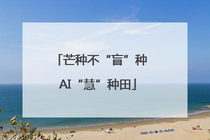 芒种不“盲”种 AI“慧”种田