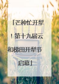 芒种忙开犁！第十九届云和梯田开犁节启幕