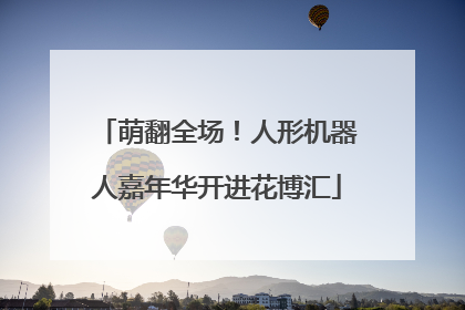 萌翻全场！人形机器人嘉年华开进花博汇