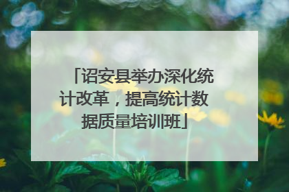 诏安县举办深化统计改革，提高统计数据质量培训班