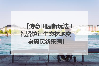 诗意田园新玩法！礼贤镇让生态林地变身惠民新乐园