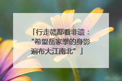 行走赣鄱看非遗：“希望岳家拳的身影遍布大江南北”