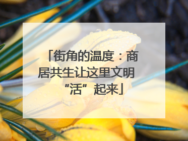 街角的温度：商居共生让这里文明“活”起来