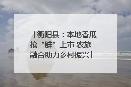 衡阳县：本地香瓜抢“鲜”上市 农旅融合助力乡村振兴