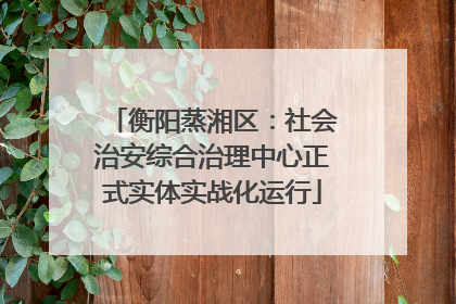 衡阳蒸湘区：社会治安综合治理中心正式实体实战化运行