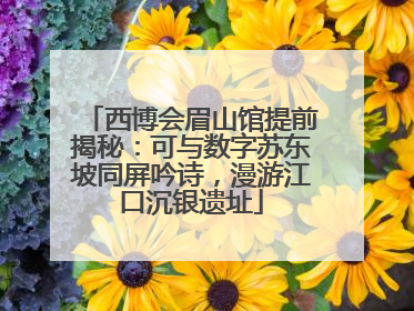 西博会眉山馆提前揭秘：可与数字苏东坡同屏吟诗，漫游江口沉银遗址