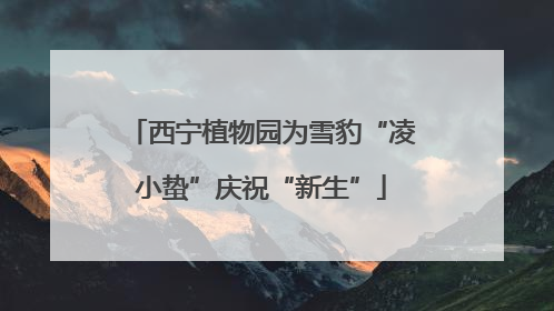 西宁植物园为雪豹“凌小蛰”庆祝“新生”