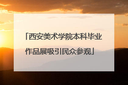 西安美术学院本科毕业作品展吸引民众参观