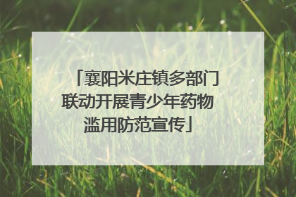 襄阳米庄镇多部门联动开展青少年药物滥用防范宣传