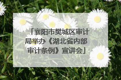 襄阳市樊城区审计局举办《湖北省内部审计条例》宣讲会