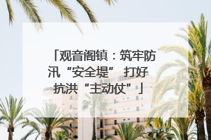 观音阁镇：筑牢防汛“安全堤” 打好抗洪“主动仗”