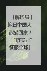 解构局丨旅日中国大熊猫回家！“萌实力”征服全球