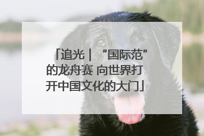追光｜“国际范”的龙舟赛 向世界打开中国文化的大门