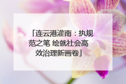 连云港灌南：执规范之笔 绘就社会高效治理新画卷