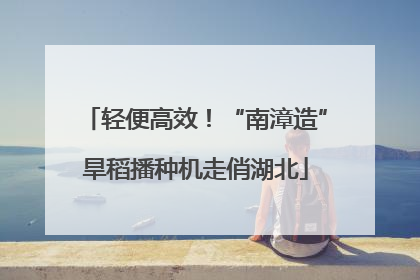 轻便高效！“南漳造”旱稻播种机走俏湖北