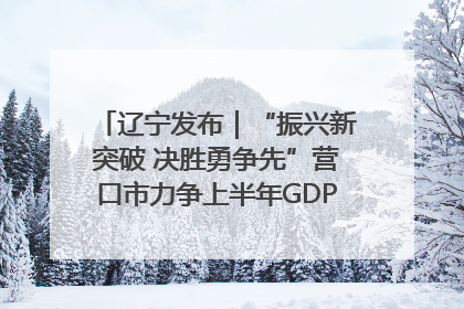 辽宁发布｜“振兴新突破 决胜勇争先”营口市力争上半年GDP增长6%左右