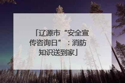辽源市“安全宣传咨询日”：消防知识送到家