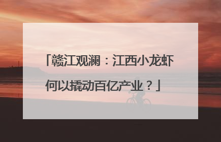 赣江观澜：江西小龙虾何以撬动百亿产业？