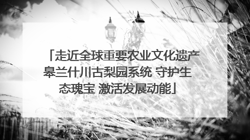 走近全球重要农业文化遗产皋兰什川古梨园系统 守护生态瑰宝 激活发展动能