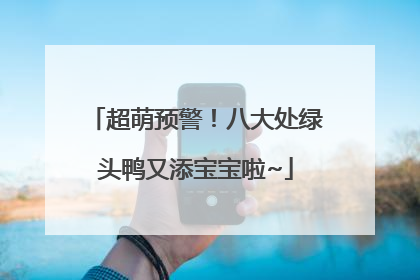 超萌预警！八大处绿头鸭又添宝宝啦~