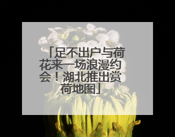 足不出户与荷花来一场浪漫约会！湖北推出赏荷地图