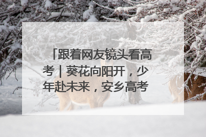 跟着网友镜头看高考｜葵花向阳开，少年赴未来，安乡高考首日的希望图景