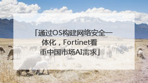 通过OS构建网络安全一体化，Fortinet看重中国市场AI需求