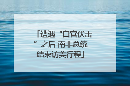 遭遇“白宫伏击”之后 南非总统结束访美行程