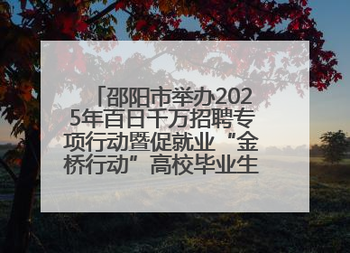 邵阳市举办2025年百日千万招聘专项行动暨促就业“金桥行动”高校毕业生专场招聘会