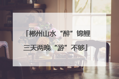 郴州山水“醉”锦鲤 三天两晚“游”不够