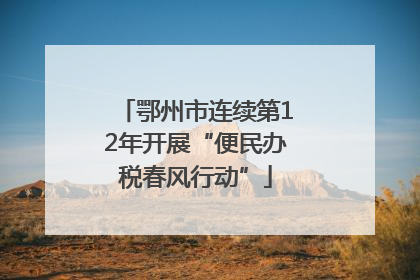 鄂州市连续第12年开展“便民办税春风行动”