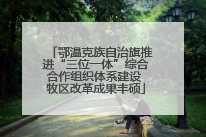 鄂温克族自治旗推进“三位一体”综合合作组织体系建设 牧区改革成果丰硕