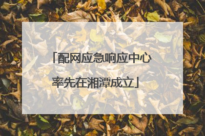 配网应急响应中心率先在湘潭成立