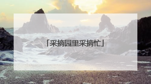 采摘园里采摘忙