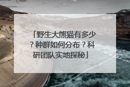 野生大熊猫有多少？种群如何分布？科研团队实地探秘