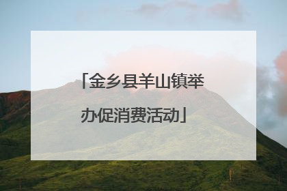 金乡县羊山镇举办促消费活动