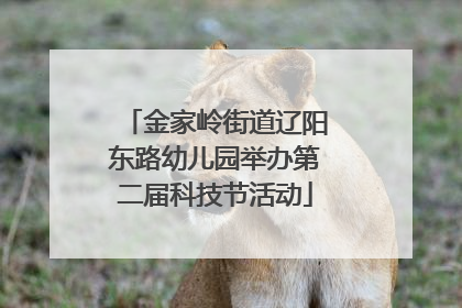 金家岭街道辽阳东路幼儿园举办第二届科技节活动