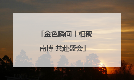 金色瞬间丨相聚南博 共赴盛会