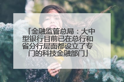 金融监管总局：大中型银行目前已在总行和省分行层面都设立了专门的科技金融部门