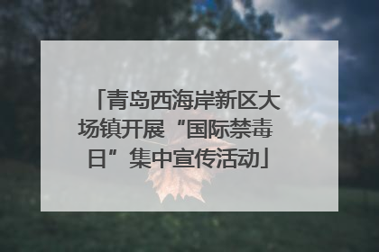 青岛西海岸新区大场镇开展“国际禁毒日”集中宣传活动