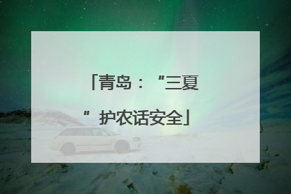 青岛：“三夏”护农话安全