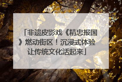 非遗皮影戏《精忠报国》燃动街区！沉浸式体验让传统文化活起来