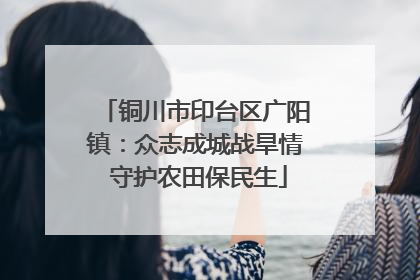 铜川市印台区广阳镇：众志成城战旱情 守护农田保民生