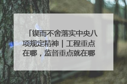 锲而不舍落实中央八项规定精神｜工程重点在哪，监督重点就在哪——广西深化政治监督护航平陆运河建设