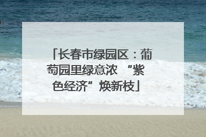 长春市绿园区：葡萄园里绿意浓 “紫色经济”焕新枝