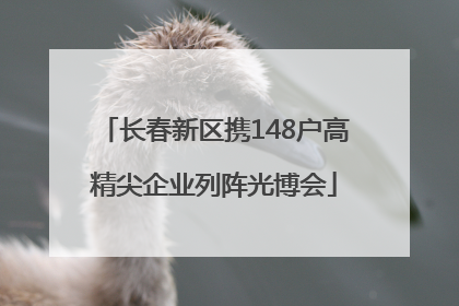 长春新区携148户高精尖企业列阵光博会