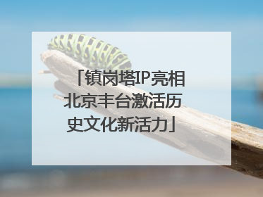 镇岗塔IP亮相 北京丰台激活历史文化新活力